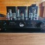 Willsenton R8 tube/valve amp Image 7