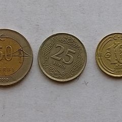 Turkish Coins