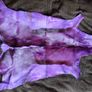 stunning animal rugs, never used. 25 each Image 3