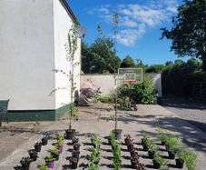 clearence of flowering plants/shrubs/trees