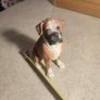 Country Artists -Boxer -Sitting Image 4