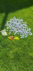 golf balls X205