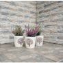 Elbrus EB1 Cladding Stone Image 2