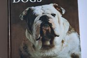 Dogs by Yann Arthus-Bertrand