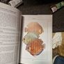 Eheim 160 pick up filter, stones and aquarium book.. Image 7