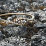 Antique Diamond & Pearl Bangle Bracelet - 1900 Image 9