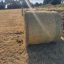 Hay for sale Image 2