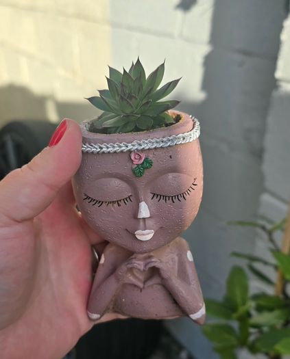 otdoor plant