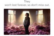 Lewis capaldi