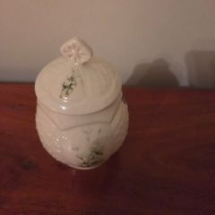 Beautiful Vintage Irish Parian Donegal China Hawthorn
