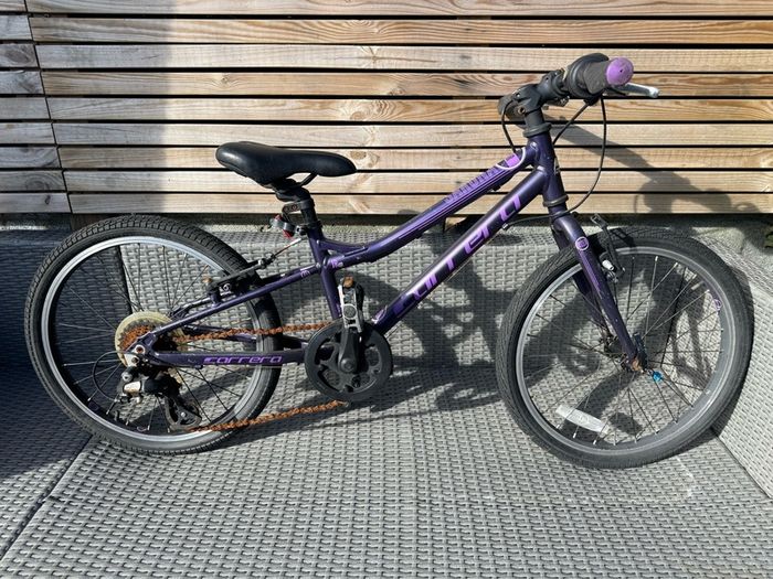 Carrera kids bike