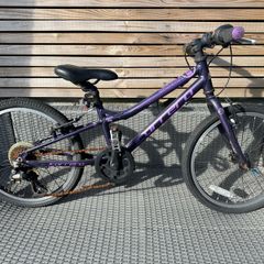 Carrera kids bike