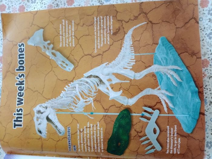 Dinosaur discovery magazines