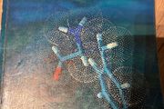 Biochemistry: a case oriented approach. 6th edition