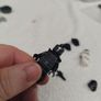 Star Wars Lego Image 9