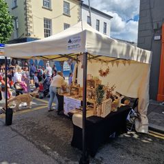 Pop Up Gazebo Steel 40mm 3m x 3m PopUp Canopy
