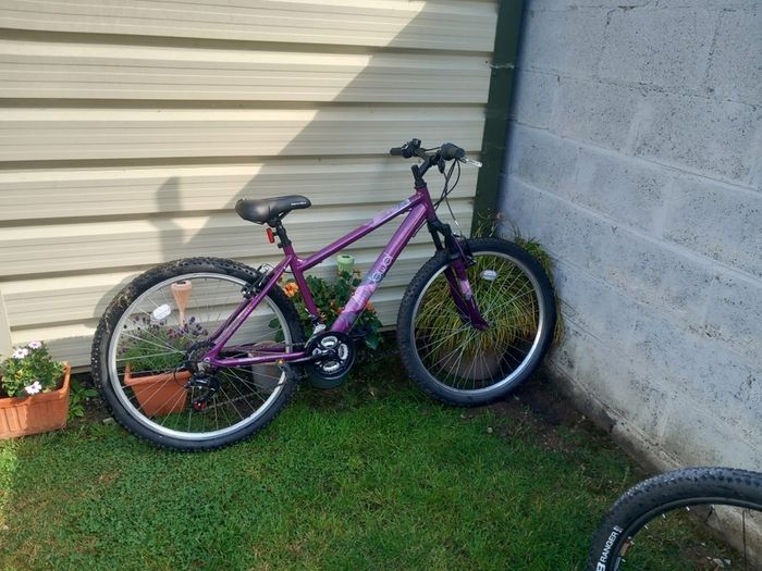 bikes