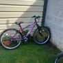 bikes Image 8