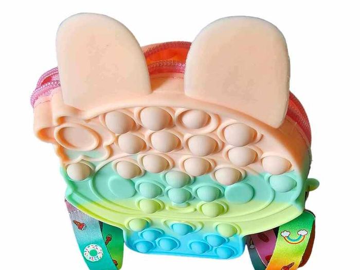 pop it fidget toy bag