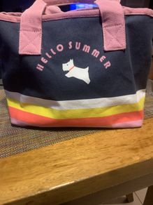 Radley London canvas summer bag