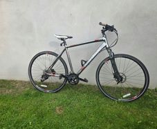 boardman