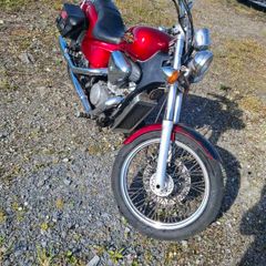 1999 honda shadow 500