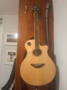Electroacoustic Guitar
