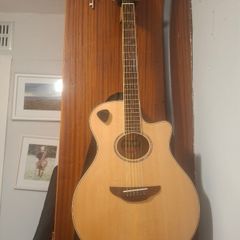 Electroacoustic Guitar