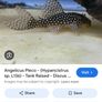 fish tank Image 10