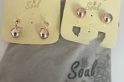 2 Pairs Rose Gold Earrings