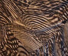 Womens Dress size 24