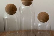 Glass Food Storage Jars (3 Pcs)