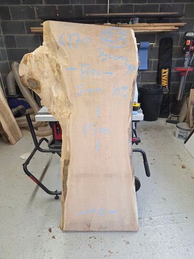 Live Edge Sycamore Slab