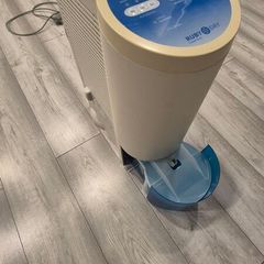 Dehumidifier     (Ruby Dry D600 model)