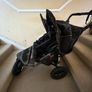 Double out n about buggy Image 4
