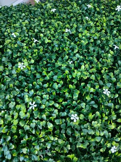 50X50 cm plastic plants