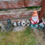 garden gnomes Image 4