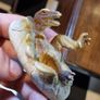 Hatching dinosaur toy figurine Image 5