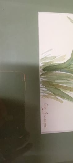 Una Gillespie Orchids Watercolour Painting