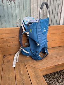 LittleLife Carrier