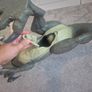Large Dinosaur Image 5