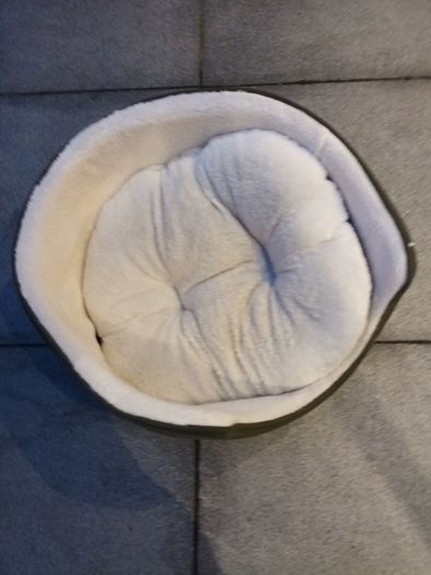 dog bed