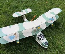 Radio Controlled model plane