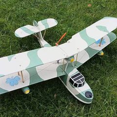 Radio Controlled model plane