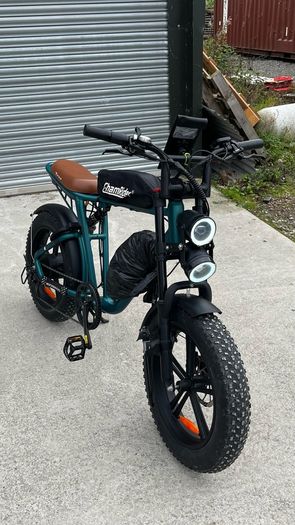 Electrical bike m20