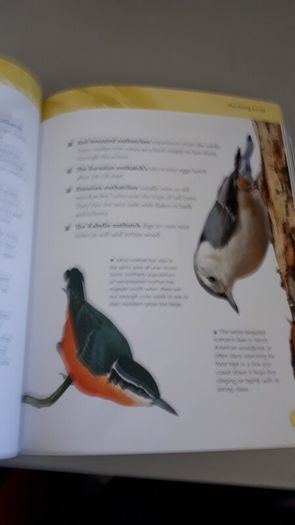 birds book