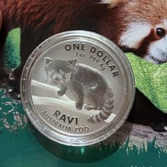 .999 Silver Dollar - Ravi Red Panda