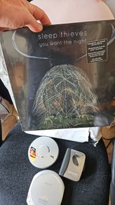 Sleep Thieves You Want the Night Vinyl