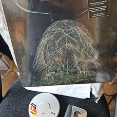Sleep Thieves You Want the Night Vinyl