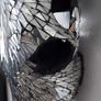 Mirror Insert Black Bull Skull Image 3